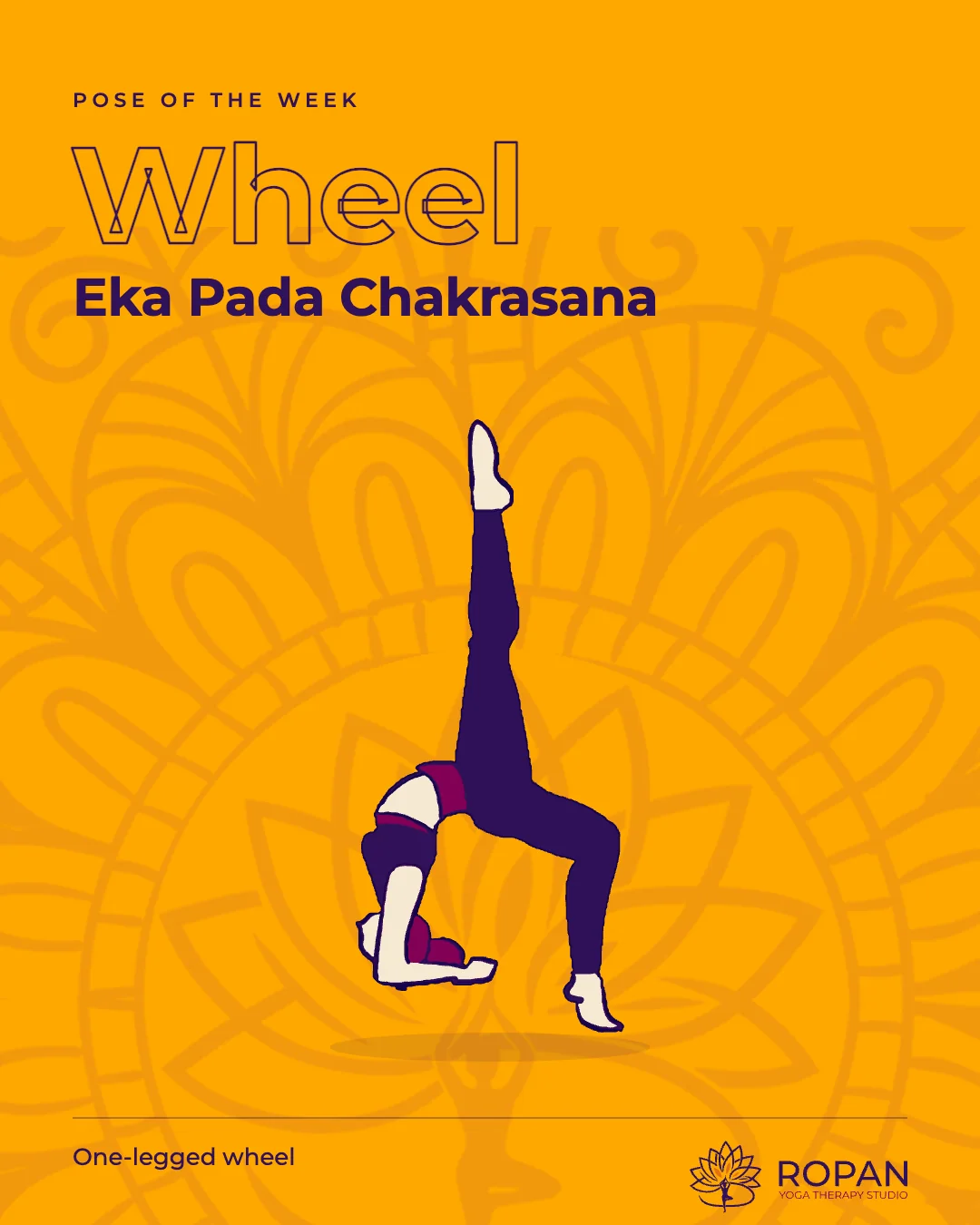 Post: Pose of the week, Wheel, Eka Pada Chakrasana, the figure large on amber with the mandala behind.