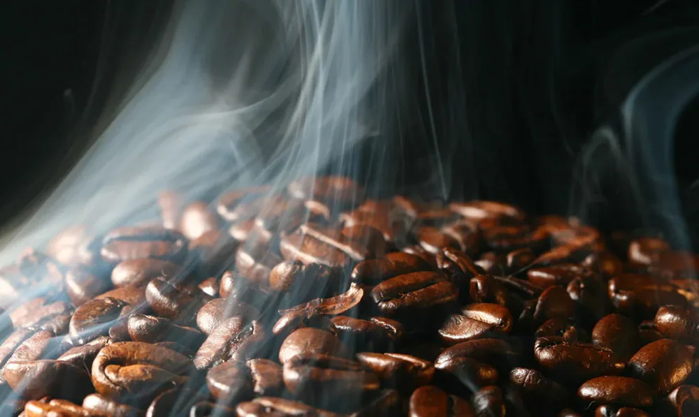 Freshly roasted beans, still smoking.