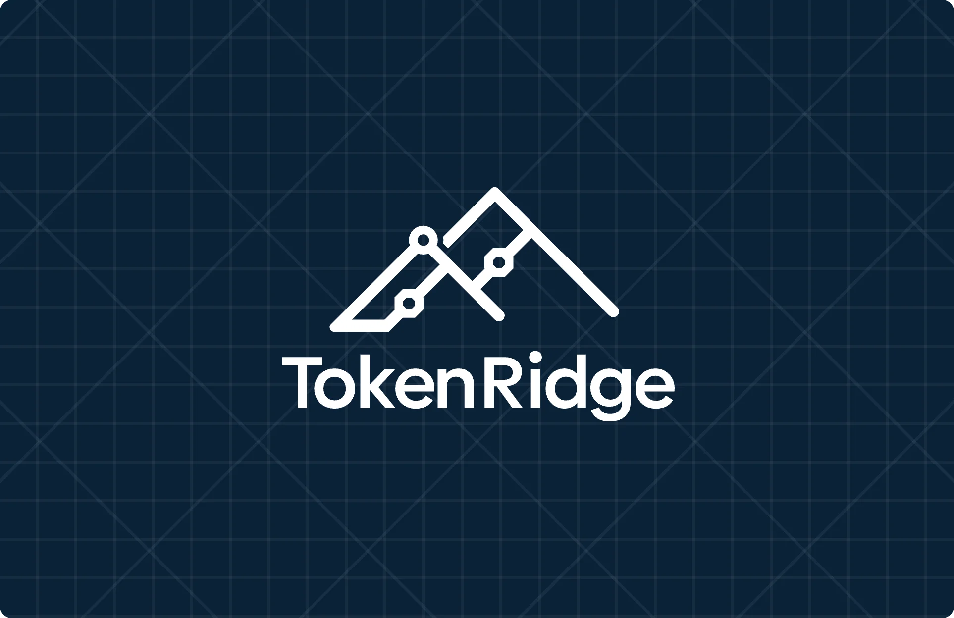 The TokenRidge logo, a ridge of connected nodes over the wordmark, in white on a navy card with a faint grid