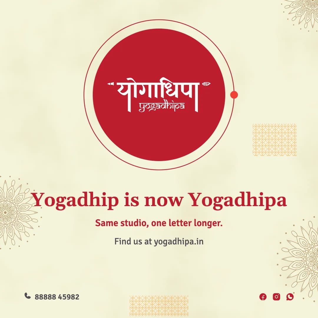 Post: Yogadhip is now Yogadhipa, the new wordmark in white on a crimson circle.